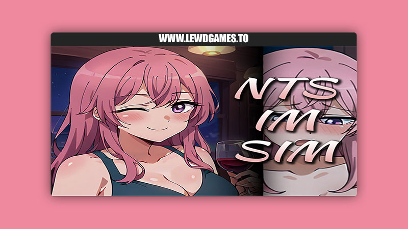 NTS-IM-SIM WiiJii